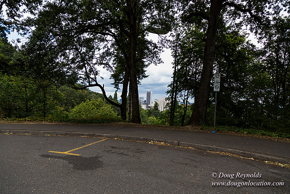 Terwilliger View 2