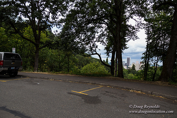 Terwilliger View 2