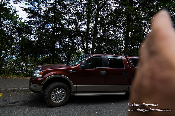 Terwilliger View 2