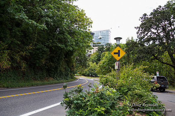 Terwilliger View 2