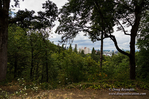 Terwilliger View 2
