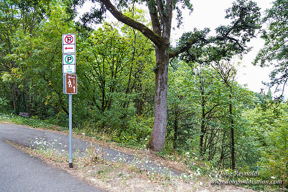 Terwilliger View 2