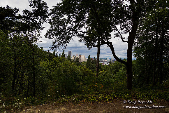 Terwilliger View 2