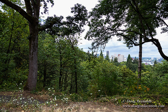 Terwilliger View 2