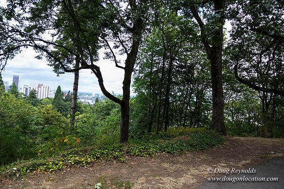 Terwilliger View 2