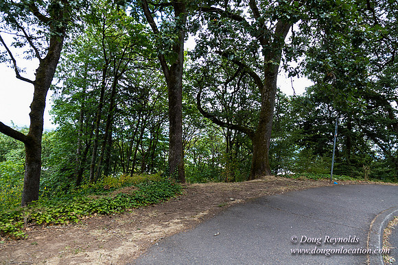 Terwilliger View 2