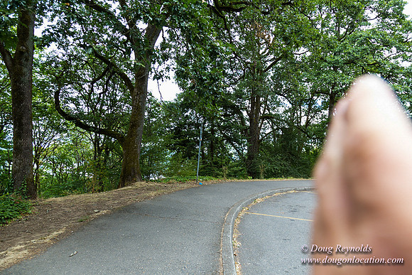 Terwilliger View 2