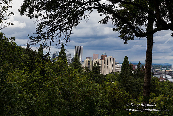 Terwilliger View 2