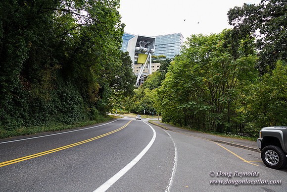 Terwilliger View 2
