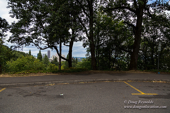 Terwilliger View 2