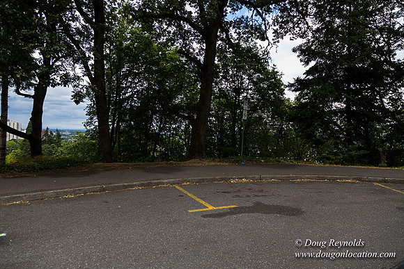 Terwilliger View 2