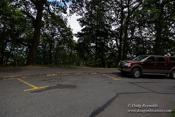 Terwilliger View 2