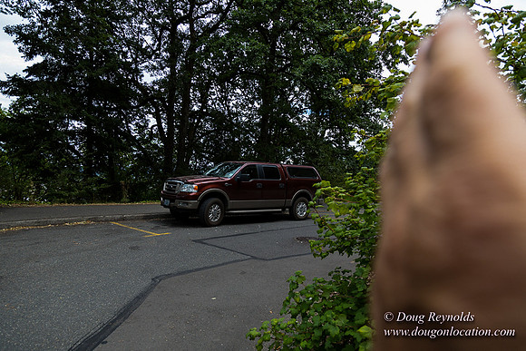 Terwilliger View 2