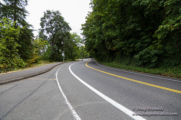 Terwilliger View 2