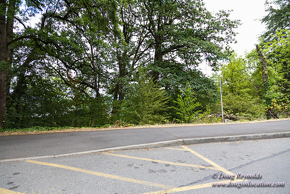 Terwilliger View 2