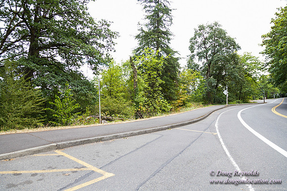 Terwilliger View 2