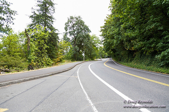 Terwilliger View 2