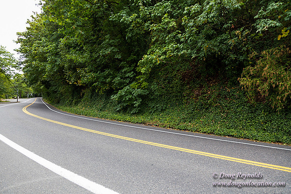 Terwilliger View 2