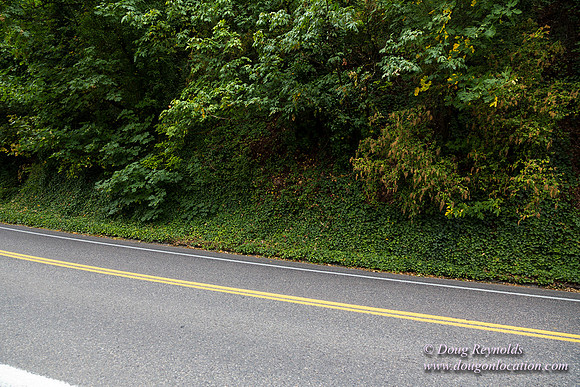 Terwilliger View 2