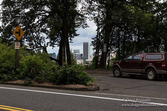 Terwilliger View 2