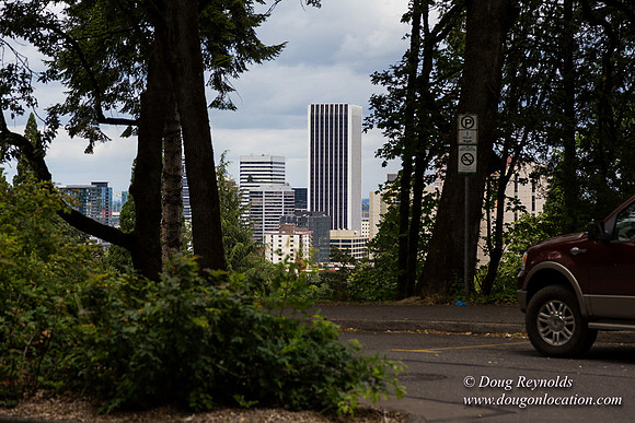 Terwilliger View 2