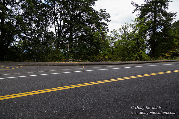 Terwilliger View 2