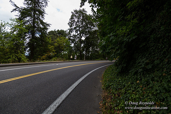 Terwilliger View 2