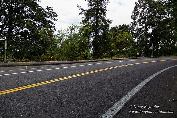 Terwilliger View 2