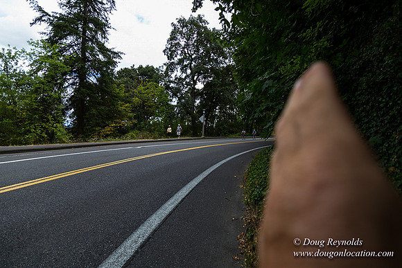 Terwilliger View 2