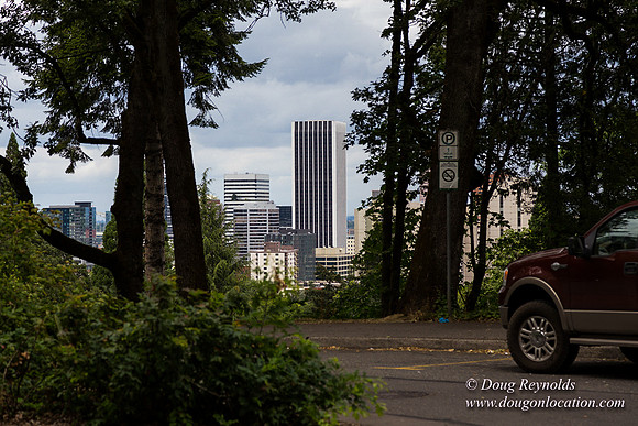 Terwilliger View 2