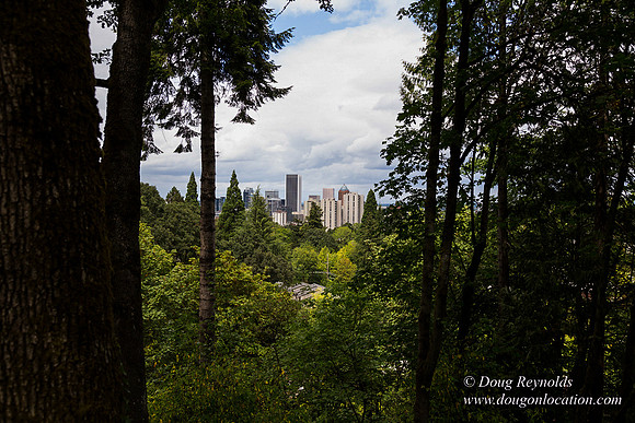 Terwilliger View 2
