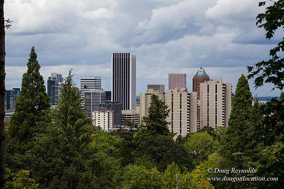 Terwilliger View 2