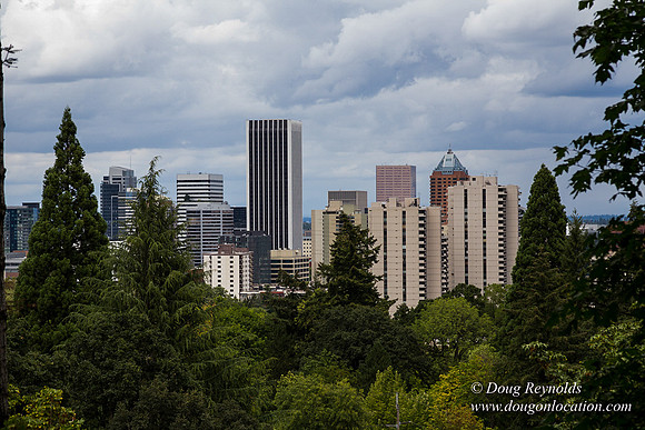 Terwilliger View 2