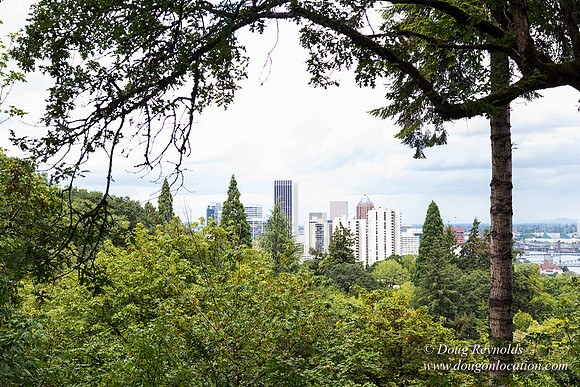 Terwilliger View 2