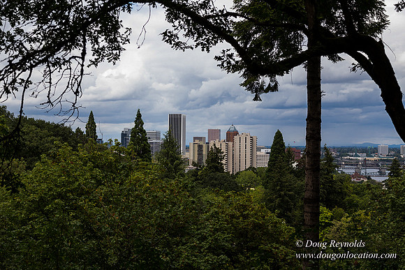 Terwilliger View 2