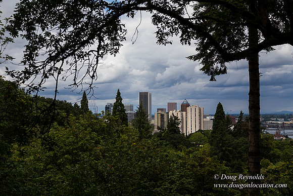 Terwilliger View 2
