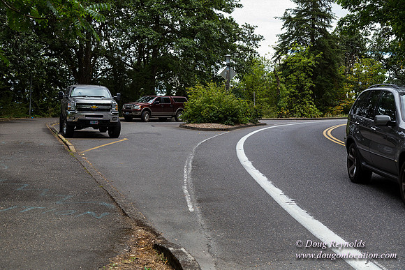 Terwilliger View 2