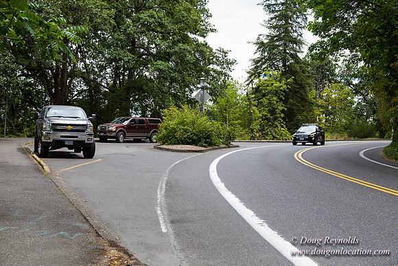 Terwilliger View 2