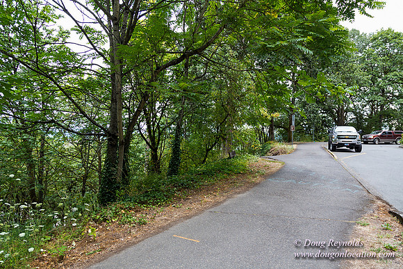 Terwilliger View 2