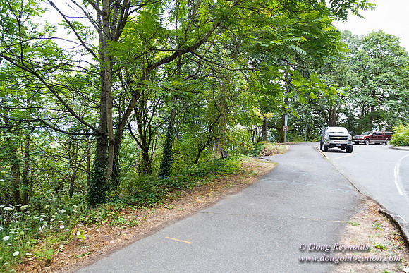 Terwilliger View 2