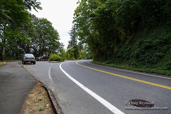 Terwilliger View 2