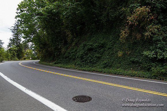Terwilliger View 2