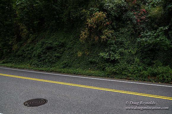 Terwilliger View 2