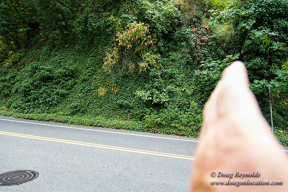 Terwilliger View 2