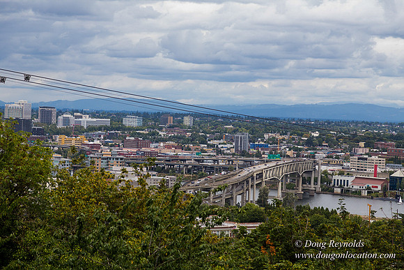 Terwilliger View 3