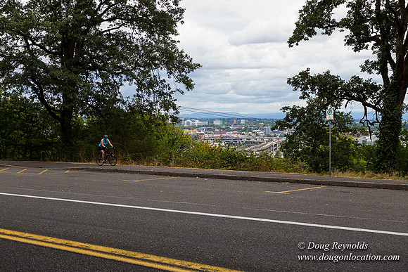 Terwilliger View 3