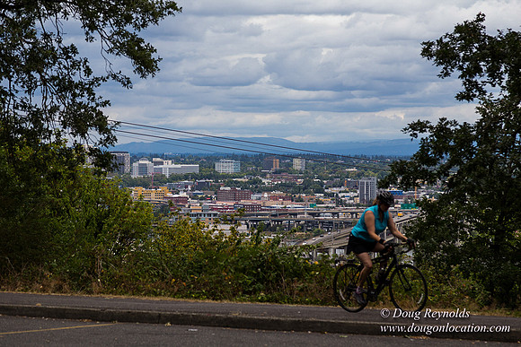 Terwilliger View 3