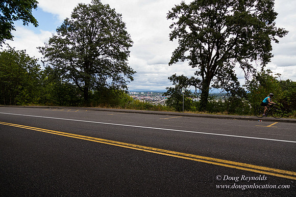 Terwilliger View 3