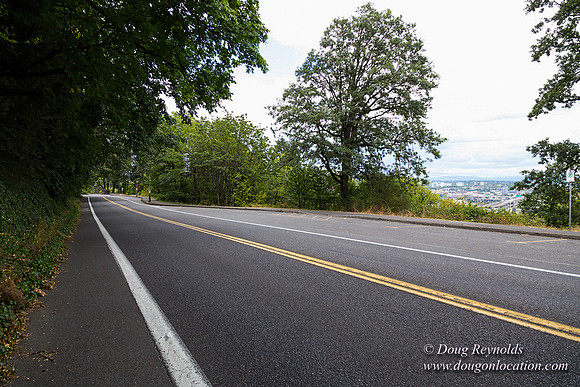 Terwilliger View 3