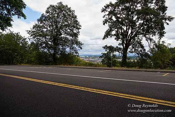 Terwilliger View 3